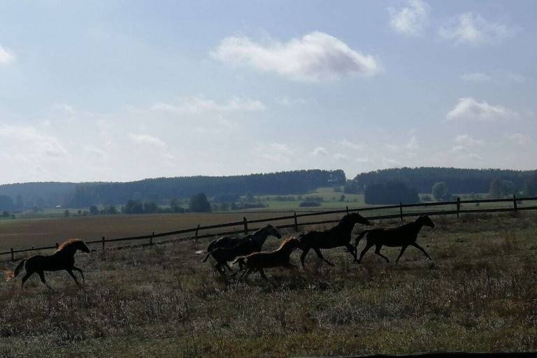foto20