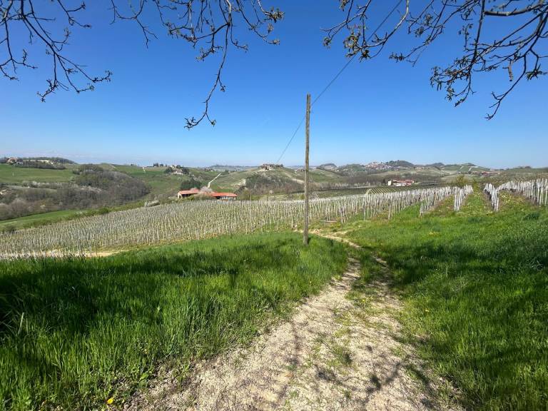 foto12
