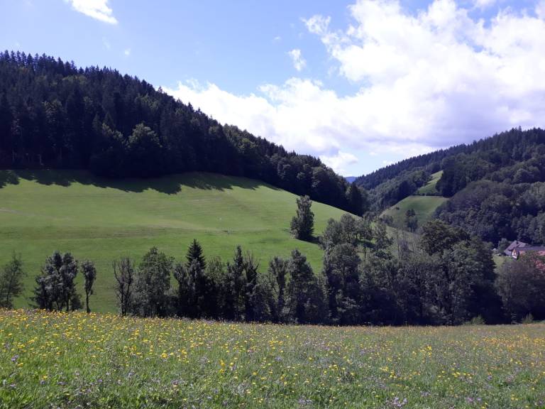 foto10