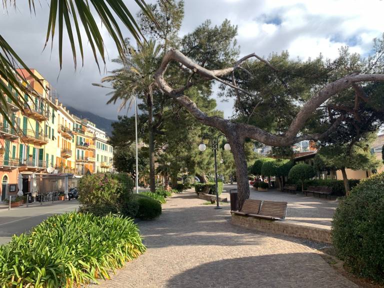 foto19