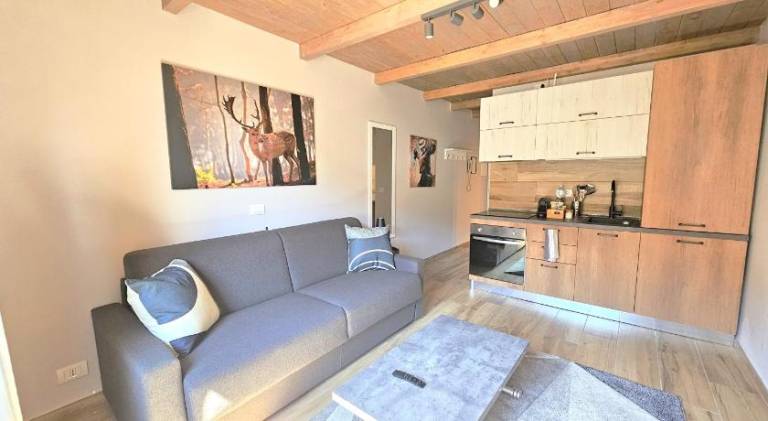 Holiday apartment | Close to the ski | Pets are welcome — photo 2