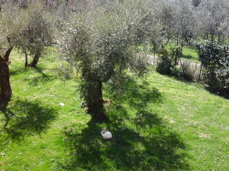 foto15