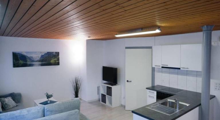 Apartment with 2 rooms for 6 persons in Interlaken