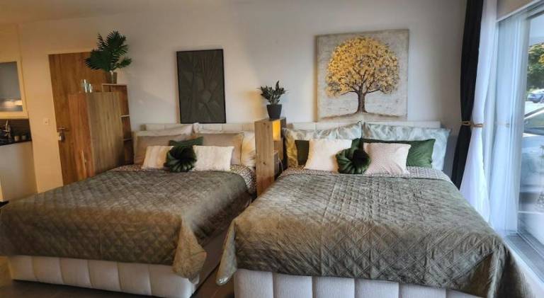 Apartment with patio | Pets allowed in Fribourg