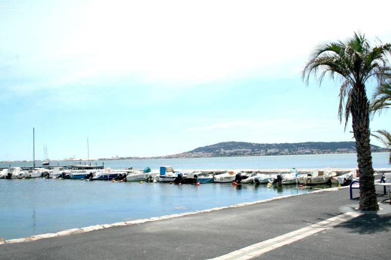 foto11