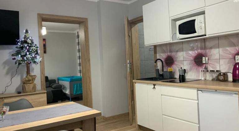 Apartament Szczawnik
