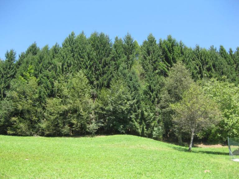 foto17
