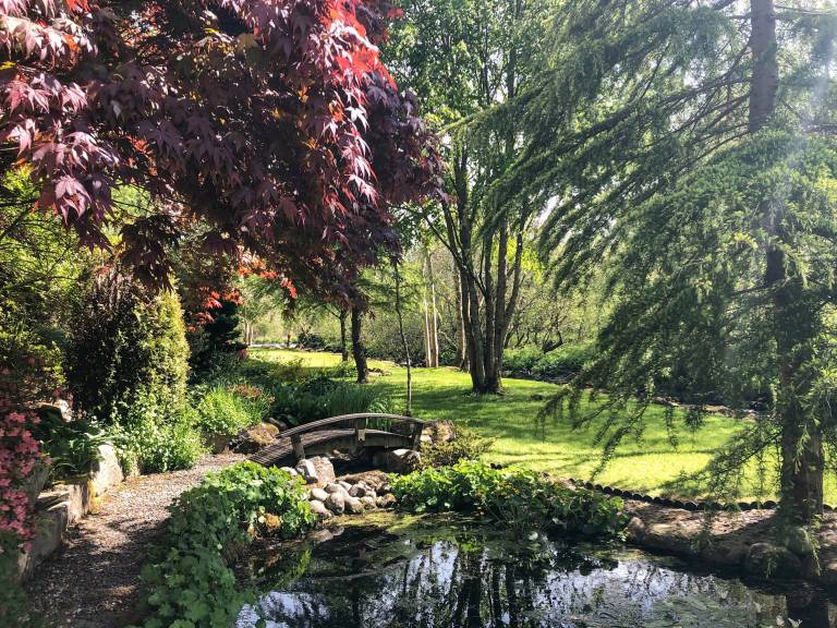 foto15