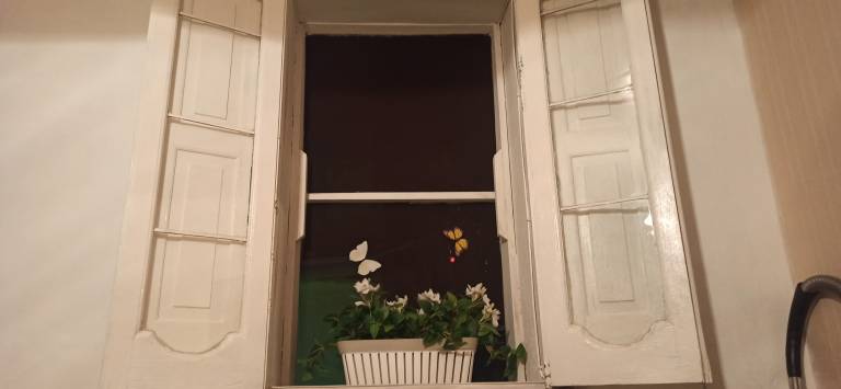 foto4