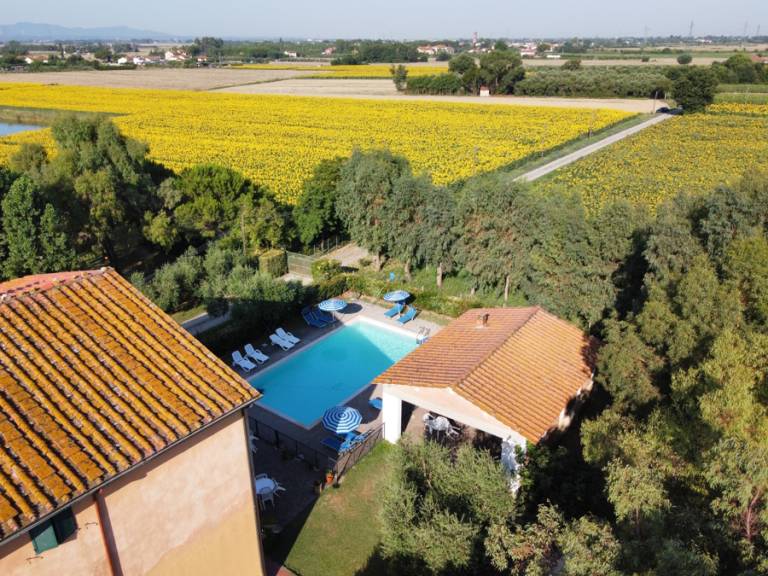 Pinzale: Appartamento Girasole 2 — photo 3