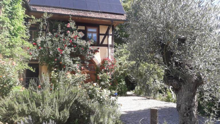 Ferienwohnung Großostheim