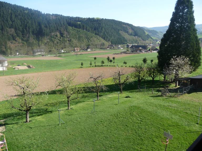 Ferienwohnung Zell am Harmersbach