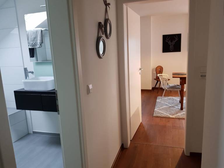 foto19