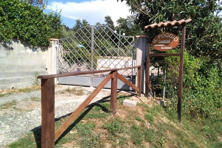 foto13