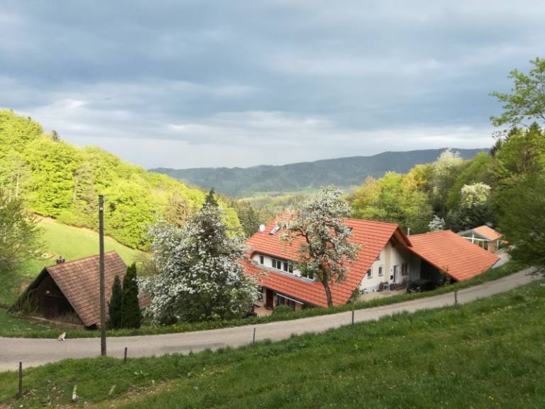 foto16