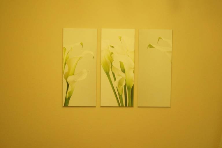 foto6