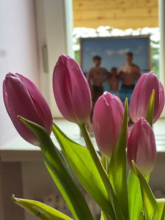foto26