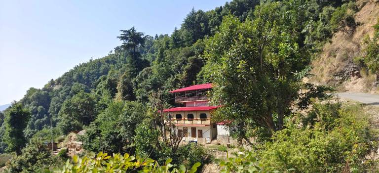 Chakrata green hotel and camping — photo 2