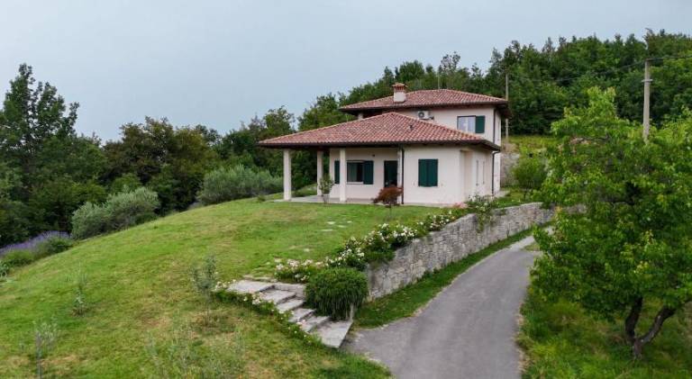foto23