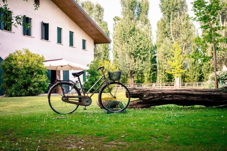 Agriturismo Il Bosco: Camera "LE MORE" in Rovigo