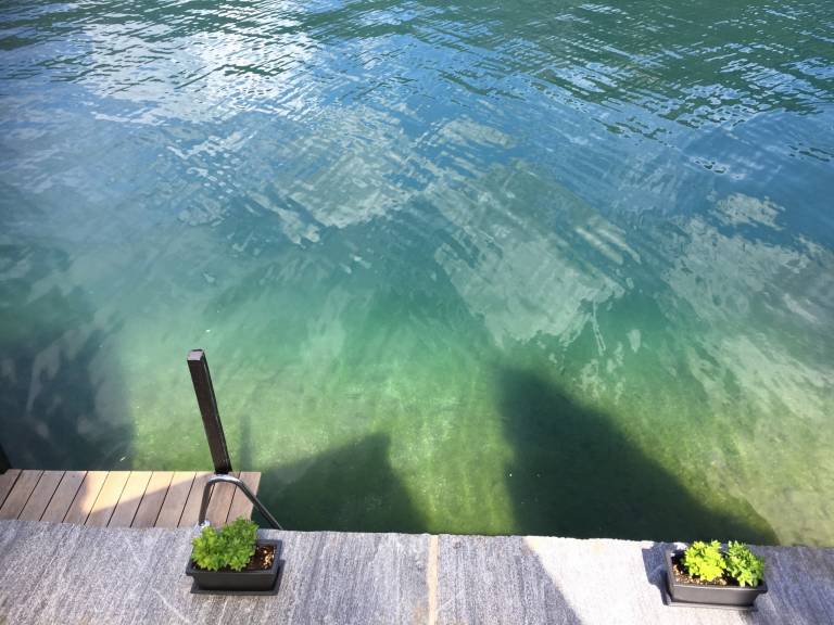 foto1