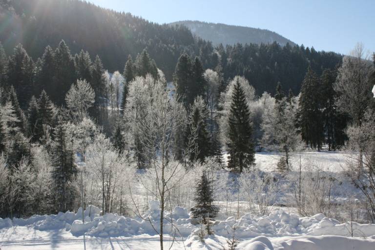 foto12