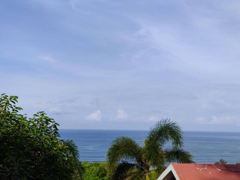 foto41