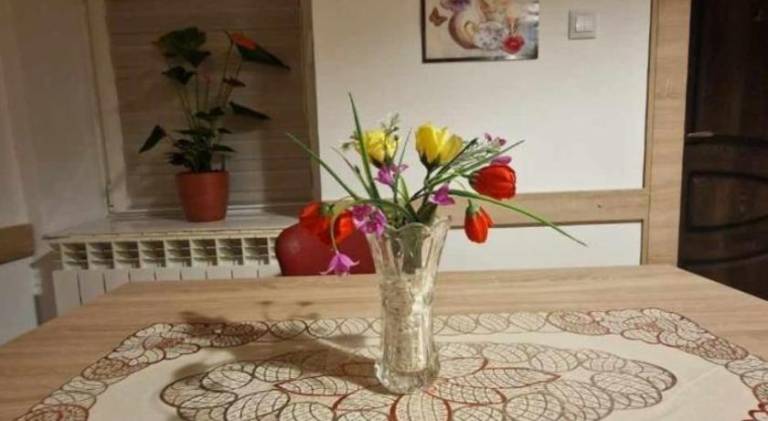 Apartment | Close to Cluj-Napoca Tailors' Bastion in Cluj-Napoca