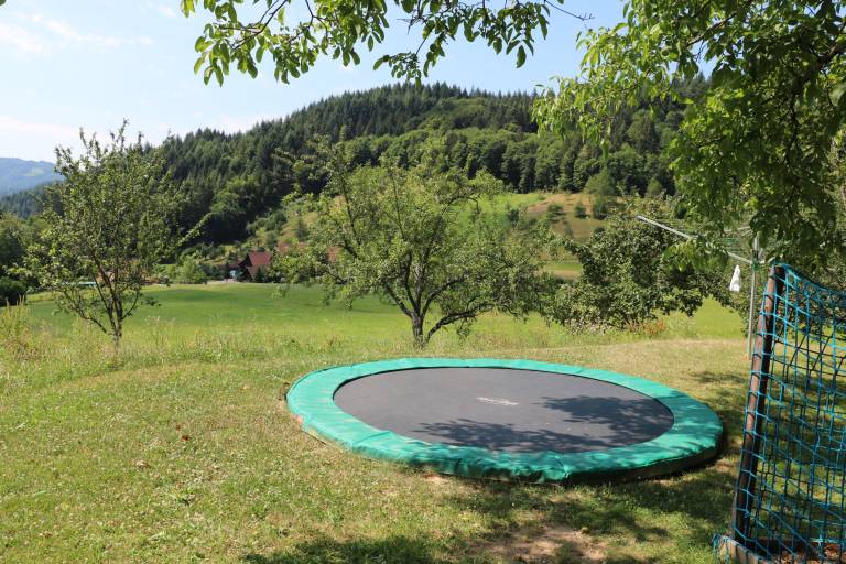 Ferienwohnung  Ottenhöfen im Schwarzwald