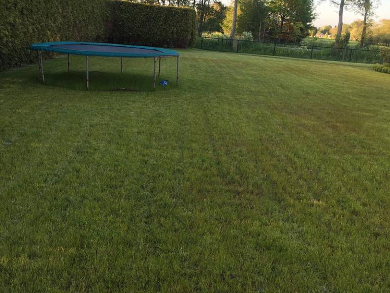 foto18