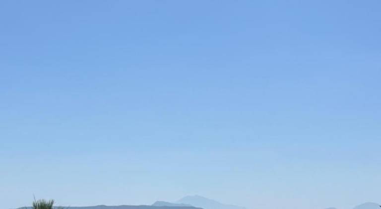 Villa Krini — photo 5