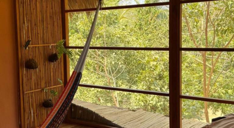 Pleasant lodge with terrace & yard | Suitable for remote work | Pets allowed in Oaxaca