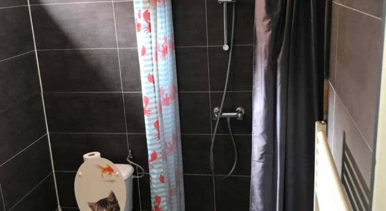 foto17