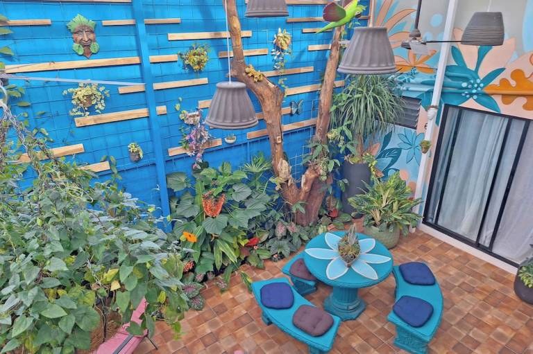 Jungla Urbana BnB
