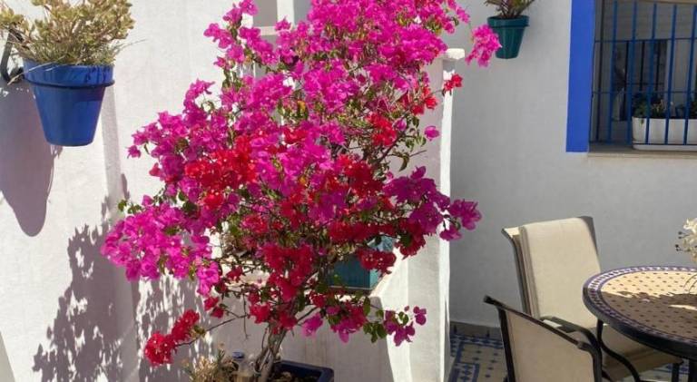 Casa San Miguel in Estepona