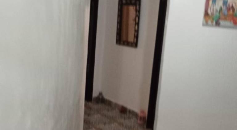 Spacious apartment | Beach nearby | Dogs allowed — photo 5