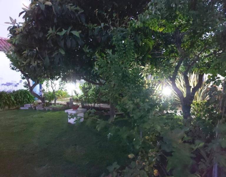 foto45
