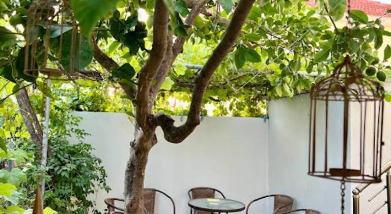 Rental apartment | Beach nearby | Pet-friendly — photo 3