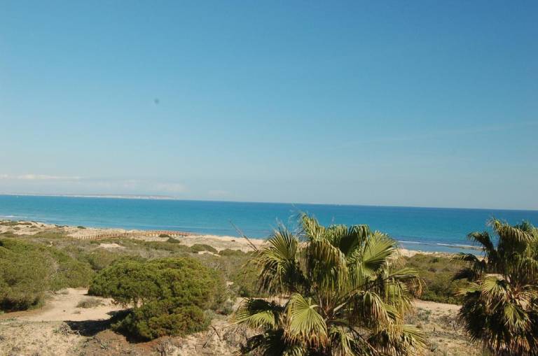 Appartement Torrevieja