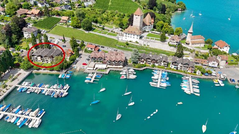 Ferienwohnung  Spiez