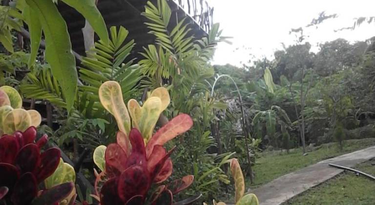 foto19