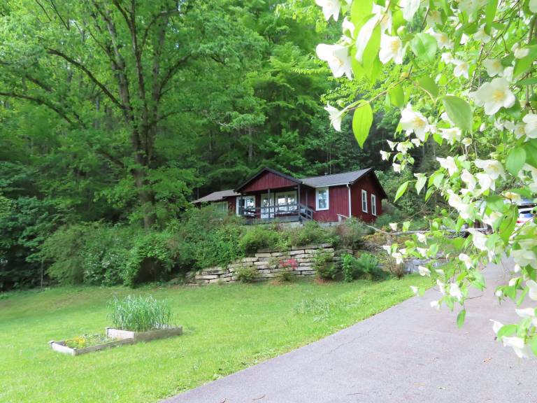 Cabin Brevard
