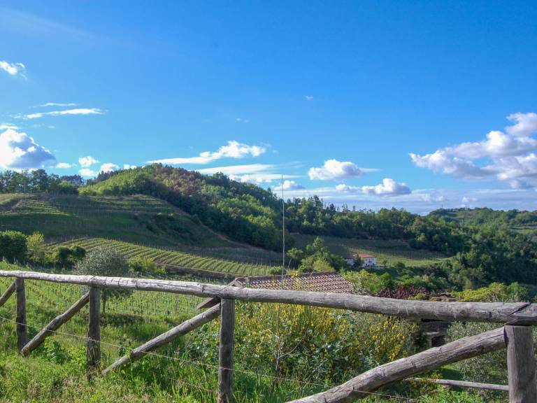 foto53