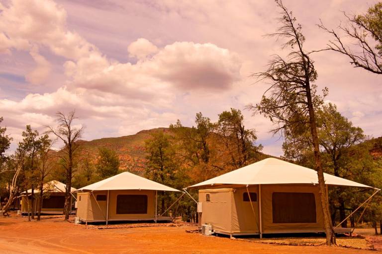 Camping Flinders Ranges
