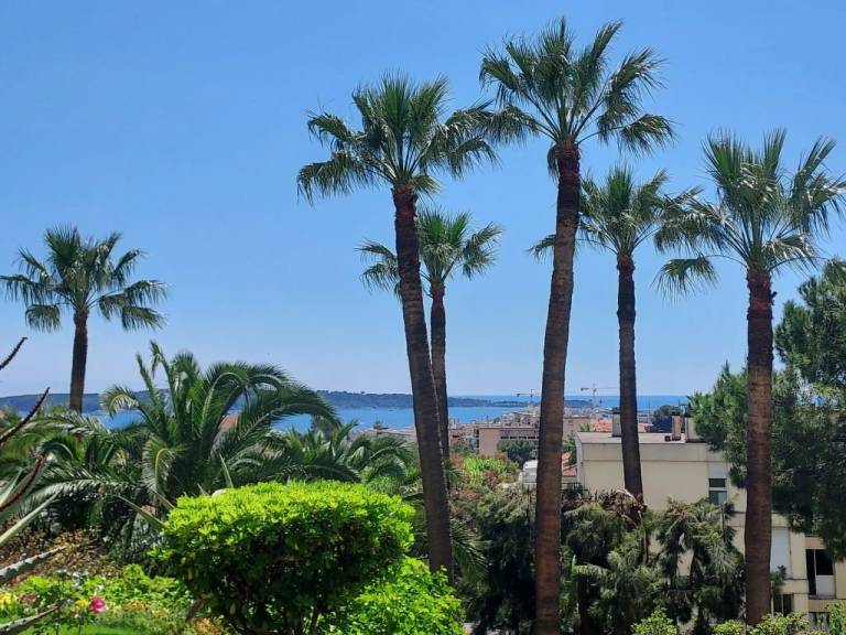 Lägenhet Cannes