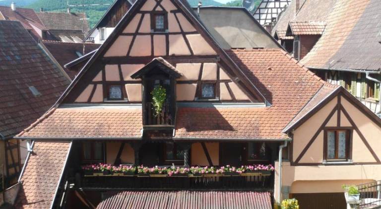 Fully equipped apartment | Pets are welcome in Riquewihr