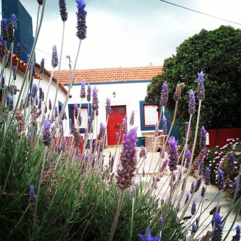 Casa Quinta do Anjo