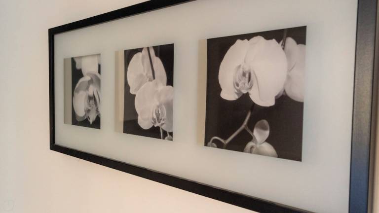 Appartement Bologne