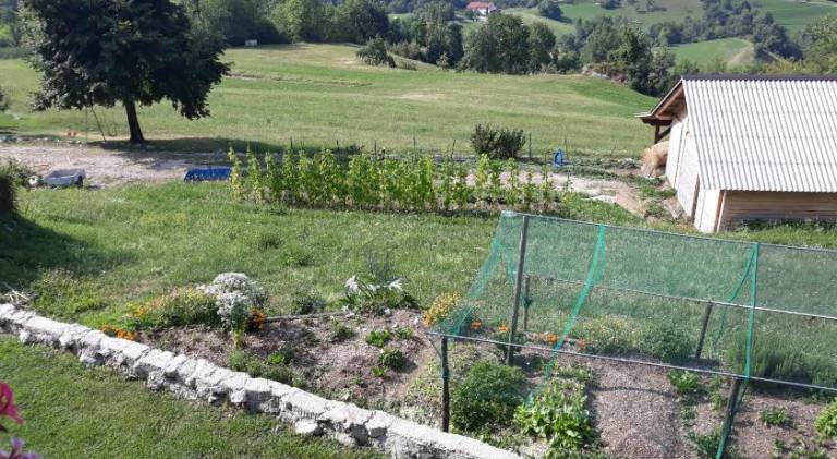 foto22