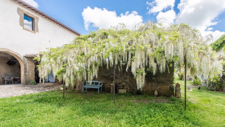 Agriturismo Borgo Rinascimento: La casa di Giotto — photo 3